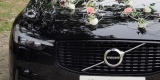 Elegancko do ślubu, Volvo XC60 | Auto do ślubu Turek, wielkopolskie - zdjęcie 2