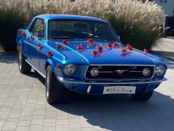 Samochody do ślubu Podkarpacie | Ford Mustang 1967 | Jeep Wrangler |, Samochód, auto do ślubu, limuzyna Ulanów