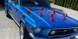 Samochody do ślubu Podkarpacie | Ford Mustang 1967 | Jeep Wrangler | | Auto do ślubu Zaczernie, podkarpackie - zdjęcie 2