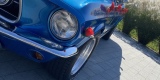 Samochody do ślubu Podkarpacie | Ford Mustang 1967 | Jeep Wrangler | | Auto do ślubu Zaczernie, podkarpackie - zdjęcie 4