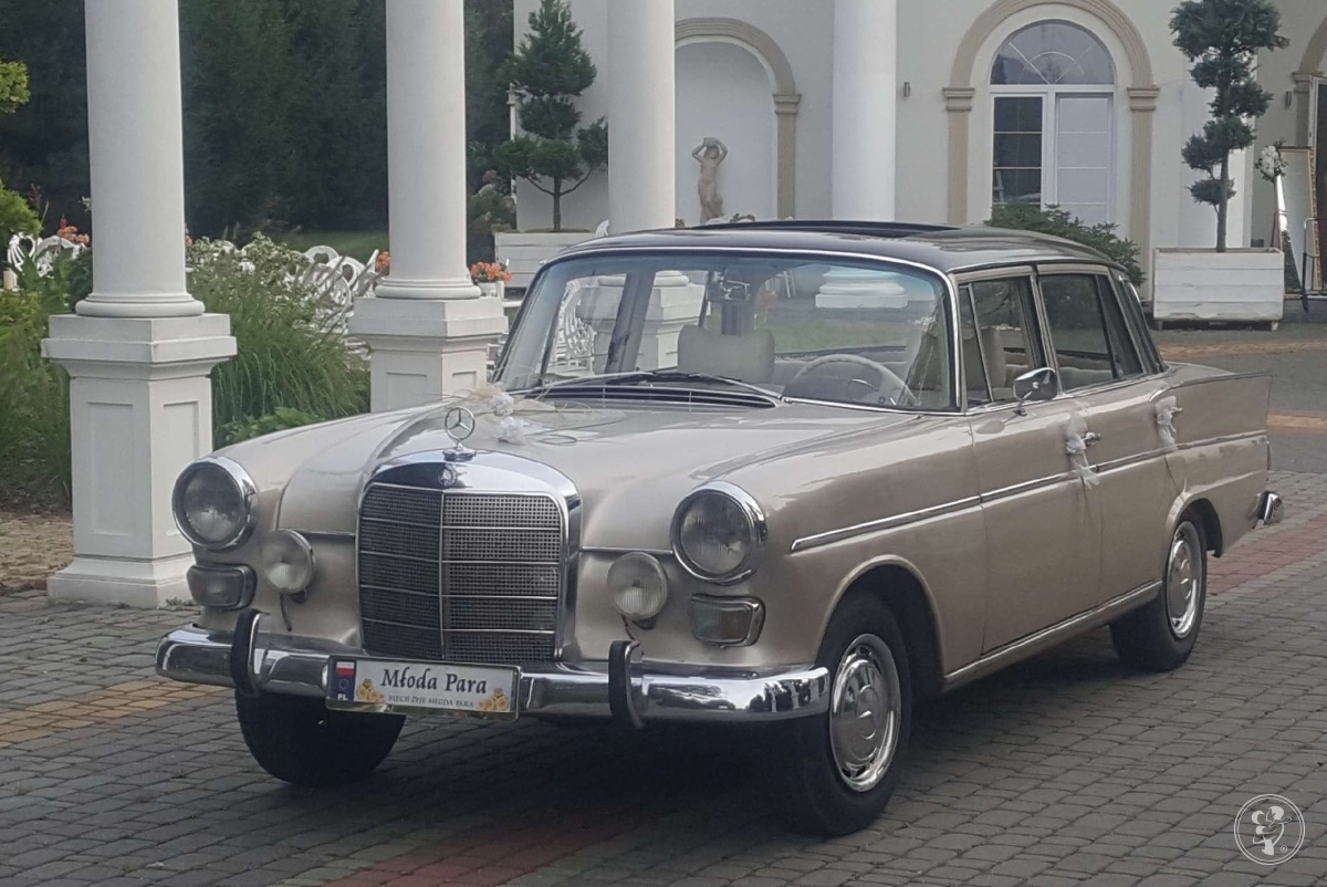 Mercedesy 1964 skrzydlak i 190 | Auto do ślubu Łódź, łódzkie - zdjęcie 1
