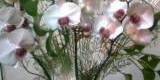 Kwiaciarnia Charlotta - florystyka ślubna, Nowa Ruda - zdjęcie 2
