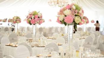 Bluebird - organizacja wesel , Wedding planner Hajnówka