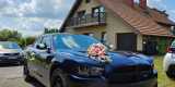 DreamCars -  Dodge Challenger , Charger i Cadillac Eldorado do ślubu | Auto do ślubu Orzesze, śląskie - zdjęcie 7
