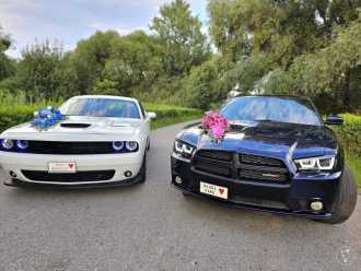 DreamCars -  Dodge Challenger , Charger i Cadillac Eldorado do ślubu | Auto do ślubu Orzesze, śląskie