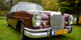 Mercedes, Mustang, Warszawa, Jaguar | Auto do ślubu Chojnice, pomorskie - zdjęcie 3