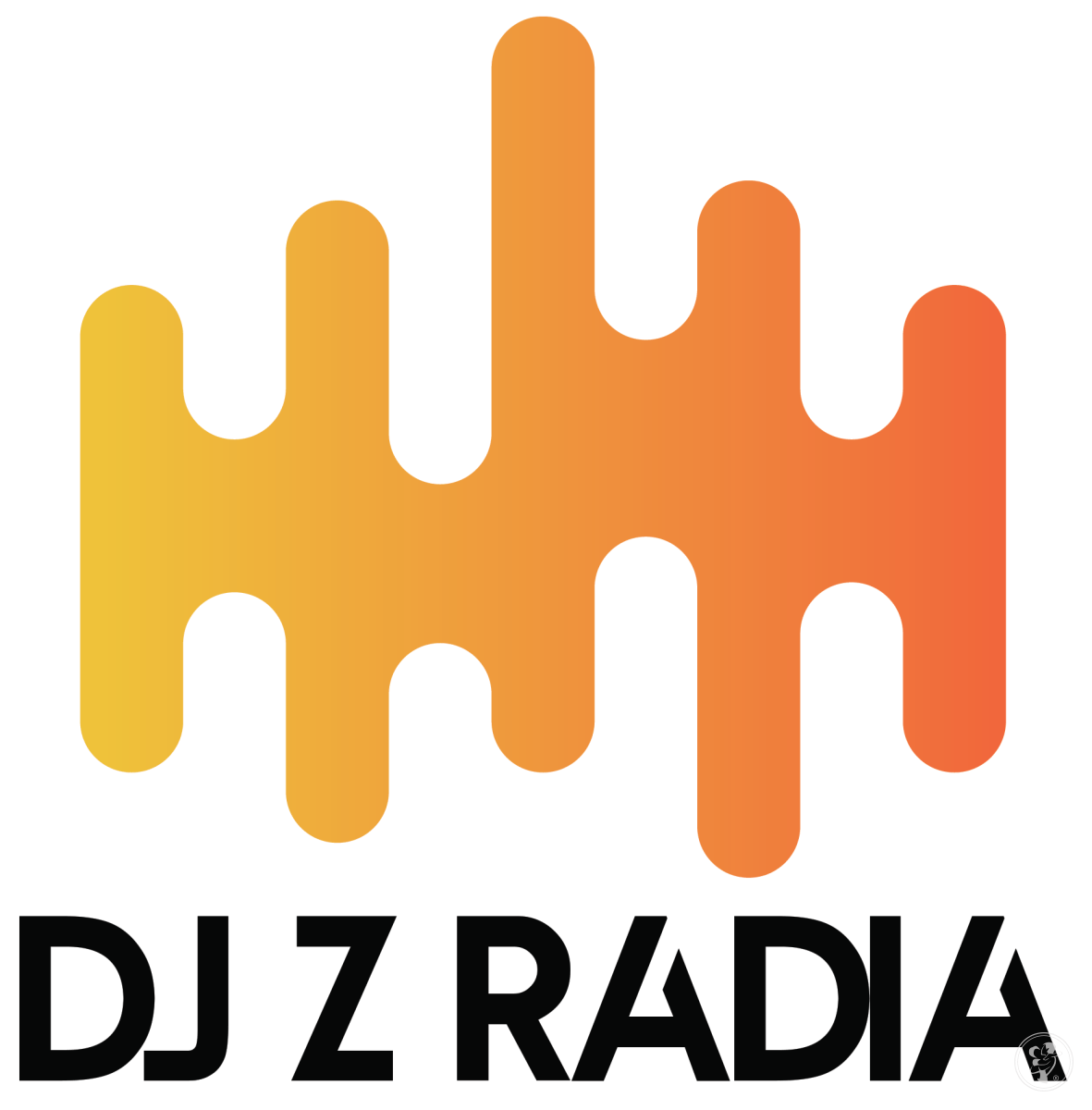 Dj Z Radia | DJ na wesele Warszawa, mazowieckie - zdjęcie 1