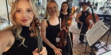 Kwartet La Belle | Oprawa muzyczna ślubu Kraków, małopolskie - zdjęcie 7