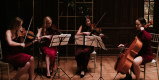 Kwartet La Belle | Oprawa muzyczna ślubu Kraków, małopolskie - zdjęcie 5