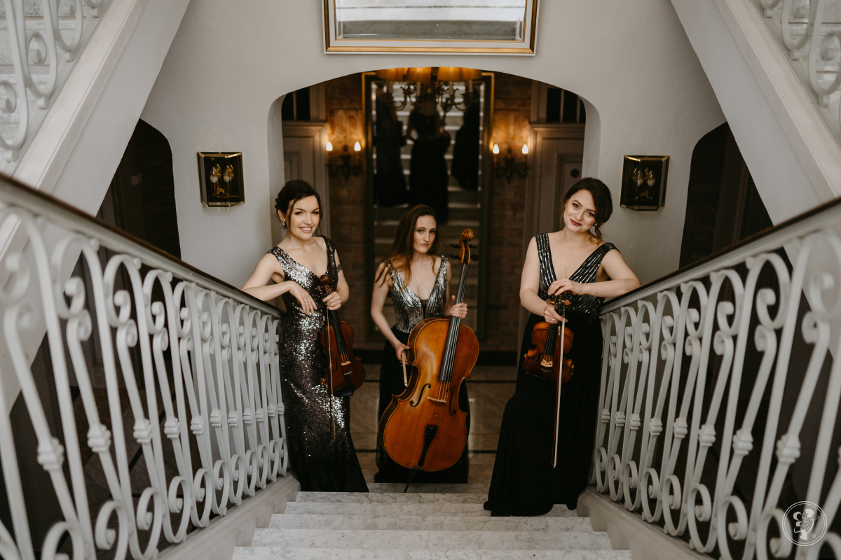 Cinematic String Trio | Oprawa muzyczna ślubu Warszawa, mazowieckie - zdjęcie 1
