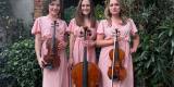 Cinematic String Trio | Oprawa muzyczna ślubu Warszawa, mazowieckie - zdjęcie 5