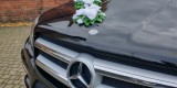 Mercedes GL550 AMG V8 500 KM SUV | Auto do ślubu Rąbień, łódzkie - zdjęcie 6