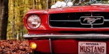 Czerwony Ford Mustang 1965 | Auto do ślubu Jaworzno, śląskie - zdjęcie 2