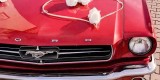 Czerwony Ford Mustang 1965 | Auto do ślubu Jaworzno, śląskie - zdjęcie 3