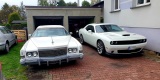 DreamCars -  Dodge Challenger , Charger i Cadillac Eldorado do ślubu | Auto do ślubu Orzesze, śląskie - zdjęcie 8