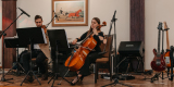 MusicaLOVE | Oprawa muzyczna ślubu Kraków, małopolskie - zdjęcie 3