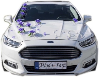 Biały Ford Mondeo | Auto do ślubu Gdańsk, pomorskie