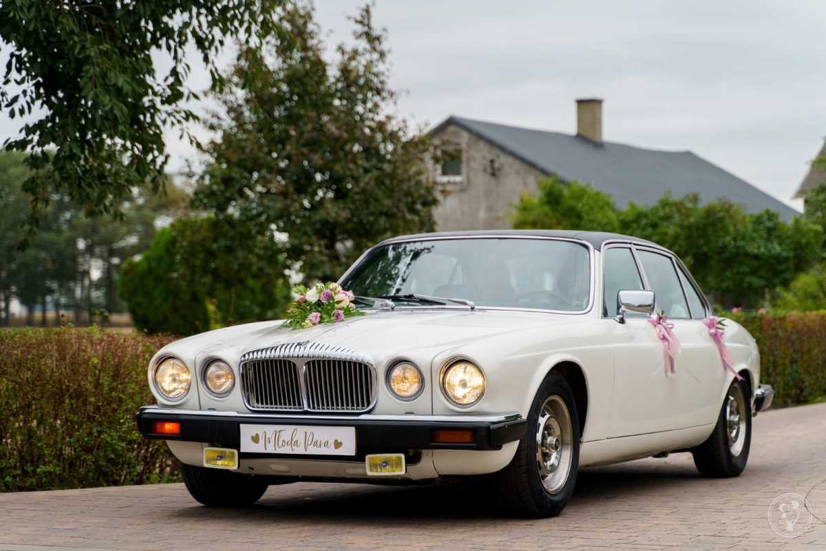 Biały Jaguar Daimler 1979.r | Auto do ślubu Błaszki, łódzkie - zdjęcie 1