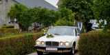 Biały Jaguar Daimler 1979.r | Auto do ślubu Błaszki, łódzkie - zdjęcie 3