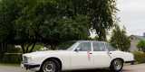 Biały Jaguar Daimler 1979.r | Auto do ślubu Błaszki, łódzkie - zdjęcie 5