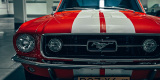 Ford Mustang GTA | Auto do ślubu Kraków, małopolskie - zdjęcie 4