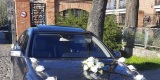 Luxus Car | Auto do ślubu Szczecin, zachodniopomorskie - zdjęcie 6