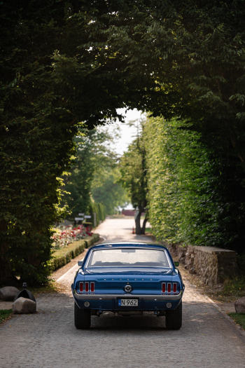 Niebieski Ford Mustang 1966 | Auto do ślubu Warszawa, mazowieckie