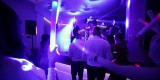Akordeonista Antek Leszko | Oprawa muzyczna ślubu Siedlce, mazowieckie - zdjęcie 3