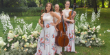 A Poco Music | Oprawa muzyczna ślubu Kraków, małopolskie - zdjęcie 1