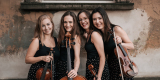Kwartet smyczkowy La Belle Quartet | Oprawa muzyczna ślubu Warszawa, mazowieckie - zdjęcie 3