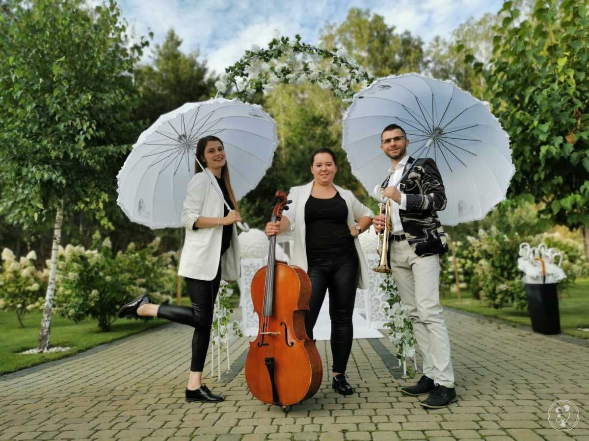 Trio wokalno-instrumentalne MIRUM | Oprawa muzyczna ślubu Szczecin, zachodniopomorskie - zdjęcie 1