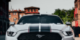Biały Ford Mustang 2017 300KM | Auto do ślubu Świętochłowice, śląskie - zdjęcie 5