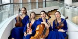 Kwartet Kujawy | Oprawa muzyczna ślubu Bydgoszcz, kujawsko-pomorskie - zdjęcie 2