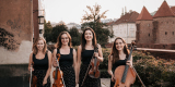 Kwartet smyczkowy La Belle Quartet | Oprawa muzyczna ślubu Warszawa, mazowieckie - zdjęcie 5