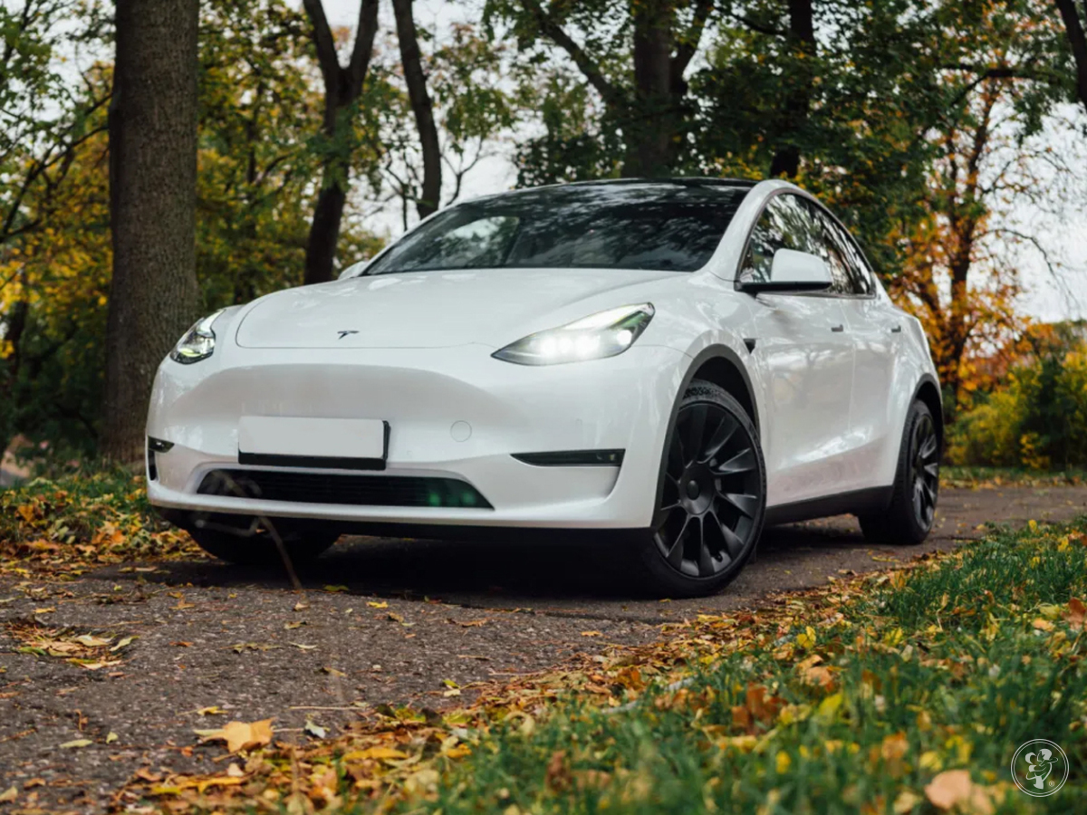 Biała Tesla Y Dual Motor | Auto do ślubu Bilcza, świętokrzyskie - zdjęcie 1