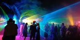 Tenerife Laser Show Pokazy Laserowe | Dekoracje światłem Stalowa Wola, podkarpackie - zdjęcie 1