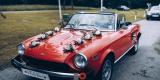 Fiat Spider 124 | Auto do ślubu Janów Lubelski, lubelskie - zdjęcie 6