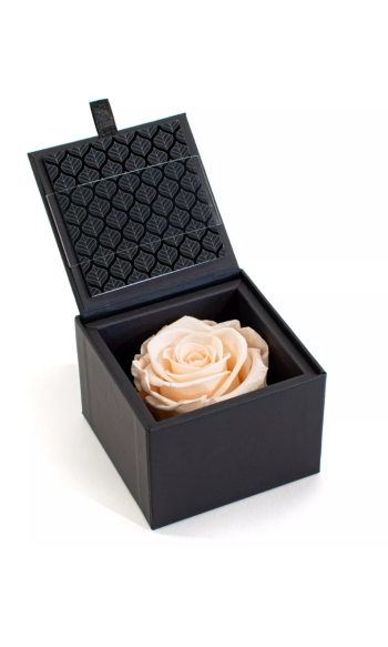 Box / pudełko z zakonserwowaną, wieczną beżowo- różową różą i kartką - zdjęcie 1