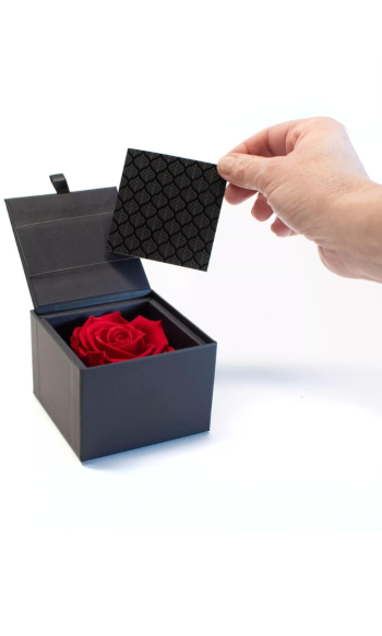 Box / pudełko z zakonserwowaną, wieczną czerwoną różą i kartką - zdjęcie 1