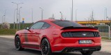 Mustang Polift Premium | Auto do ślubu Legnica, dolnośląskie - zdjęcie 2