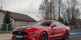 Mustang Polift Premium | Auto do ślubu Legnica, dolnośląskie - zdjęcie 3