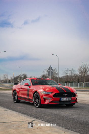 Mustang Polift Premium | Auto do ślubu Legnica, dolnośląskie