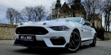 Mustang, Mercedes | Auto do ślubu Częstochowa, śląskie - zdjęcie 3