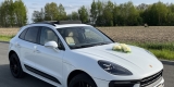 Porsche Macan | Auto do ślubu Kolbuszowa, podkarpackie - zdjęcie 4