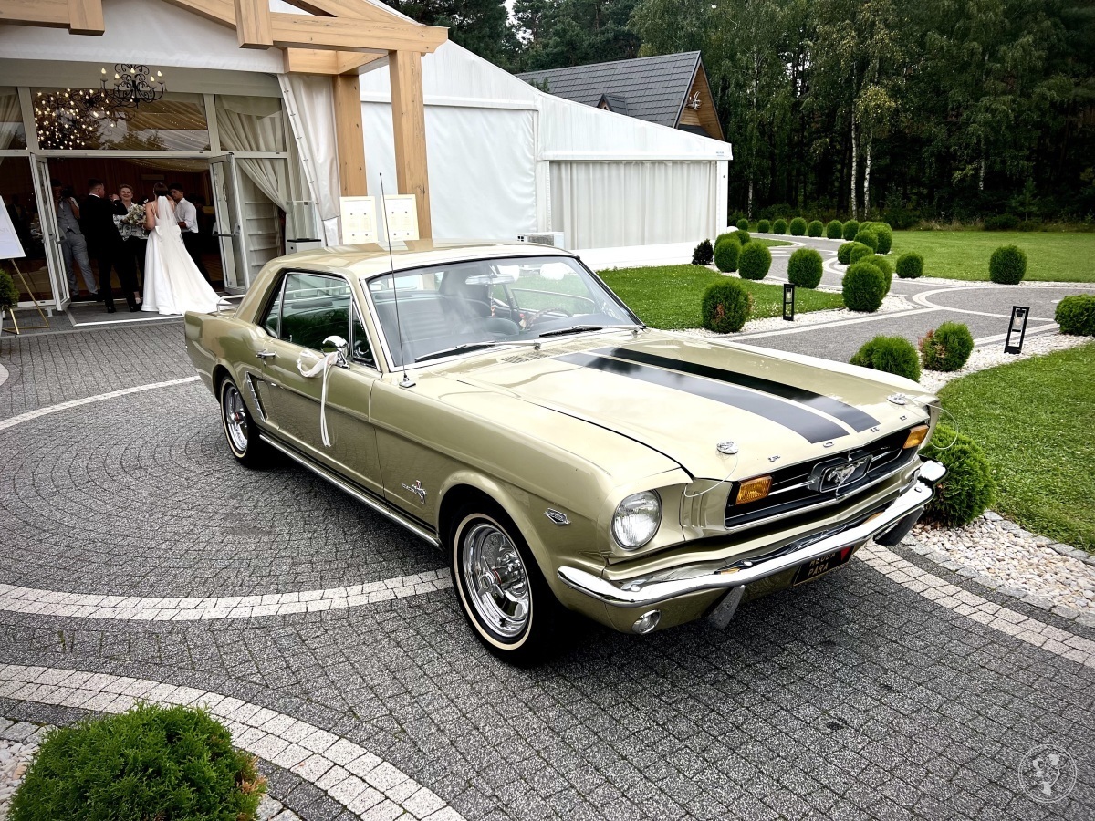 Ford Mustang z 1965r. | Auto do ślubu Krośnica, opolskie - zdjęcie 1