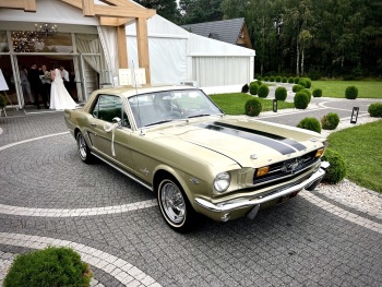 Ford Mustang z 1965r. | Auto do ślubu Krośnica, opolskie