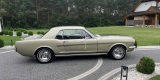Ford Mustang z 1965r. | Auto do ślubu Krośnica, opolskie - zdjęcie 2