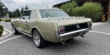 Ford Mustang z 1965r. | Auto do ślubu Krośnica, opolskie - zdjęcie 3