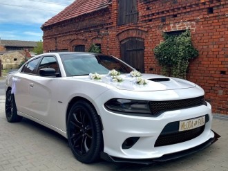 Dodge Charger V8 - Muscle Carem | Auto do ślubu Wrocław, dolnośląskie