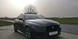 Jaguar XE | Auto do ślubu Poznań, wielkopolskie - zdjęcie 2